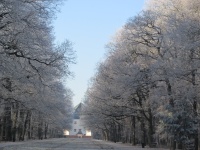 IMG_0877.jpg, 29kB